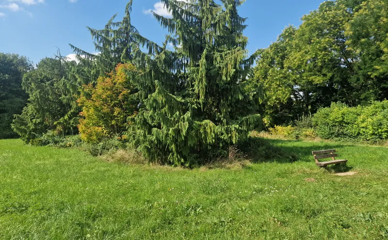 Featured image for 5 Hidden Green Gems Near Frankfurt: Kids Activities for Brückentage