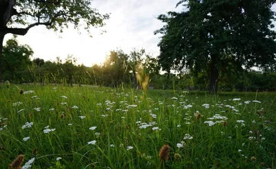 Moving with Children Part I: Searching for our Next Home in Germany