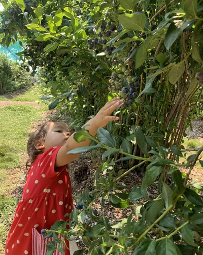 Living a More Unconventional Life Since Raising Kids in Germany