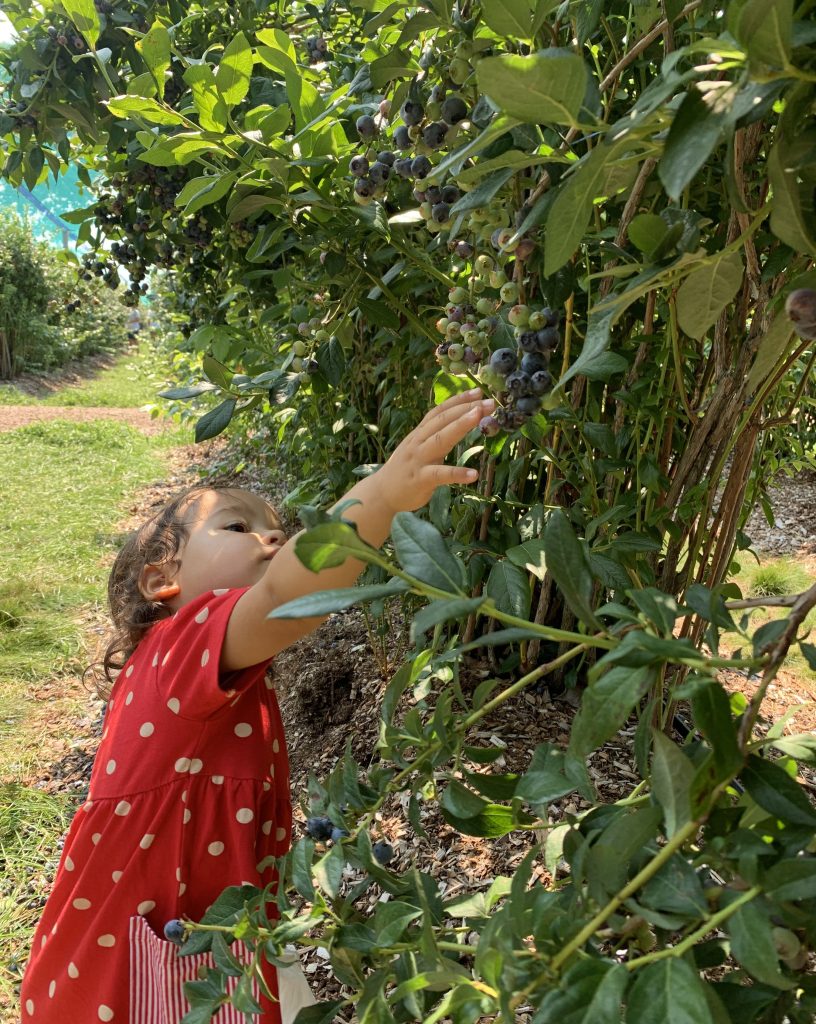 How I am Living a more Unconventional Life since Raising Children Abroad in Germany